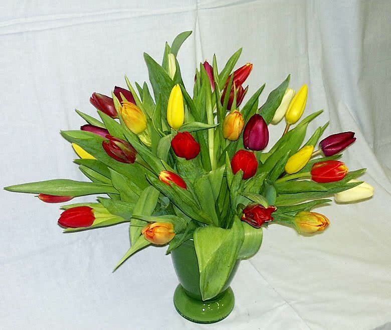 Tulpenstrauß